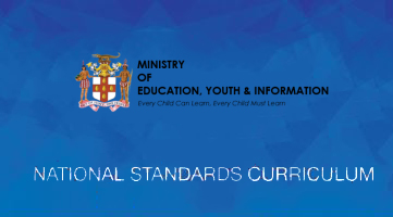 The National Standards Curriculum