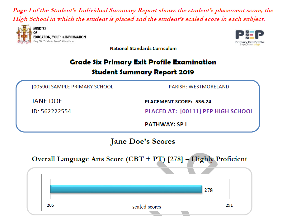 PEP 2019 Sample Student Summary Report
